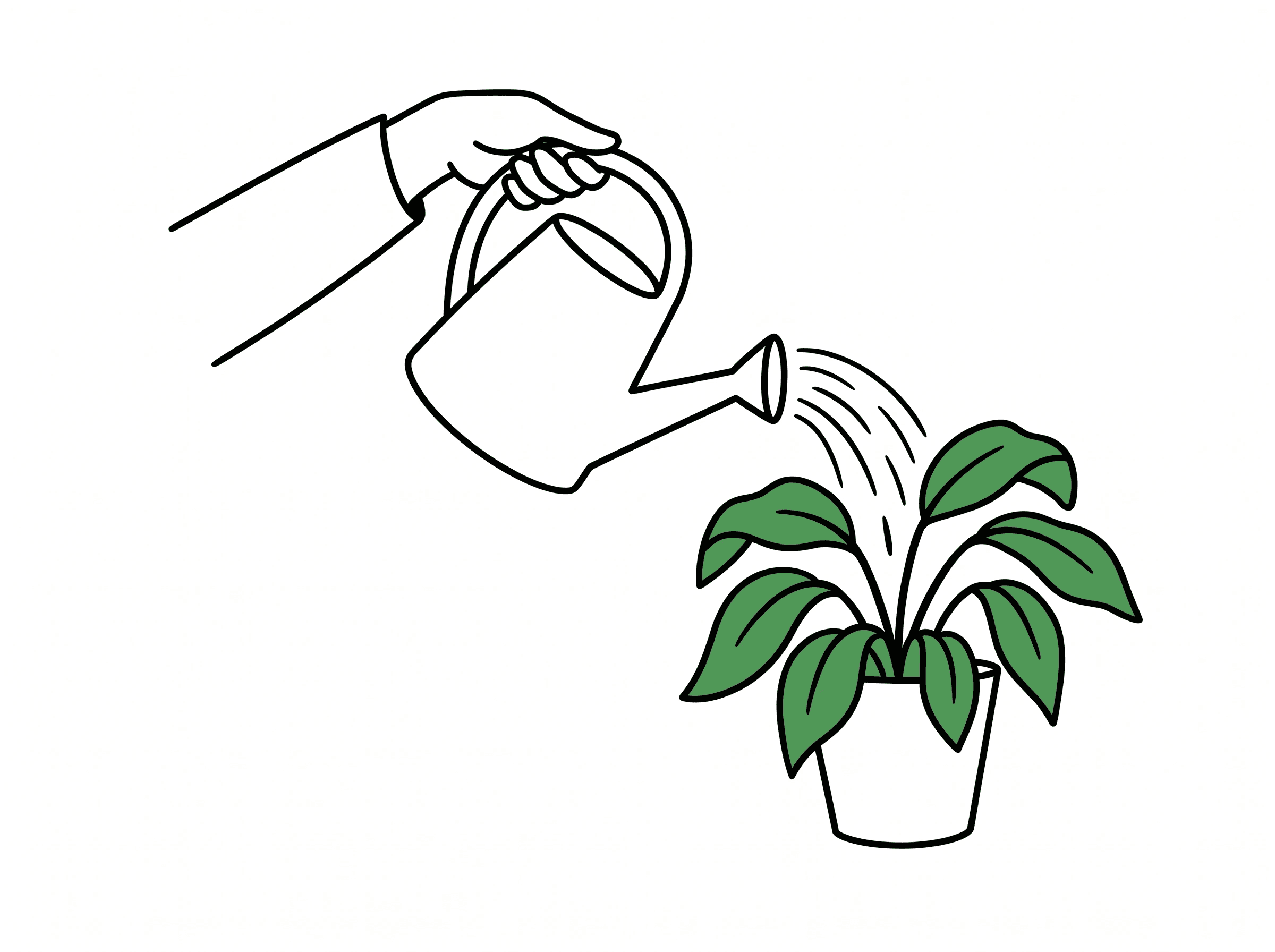 A hand tipping a watering can over a potted green plant
